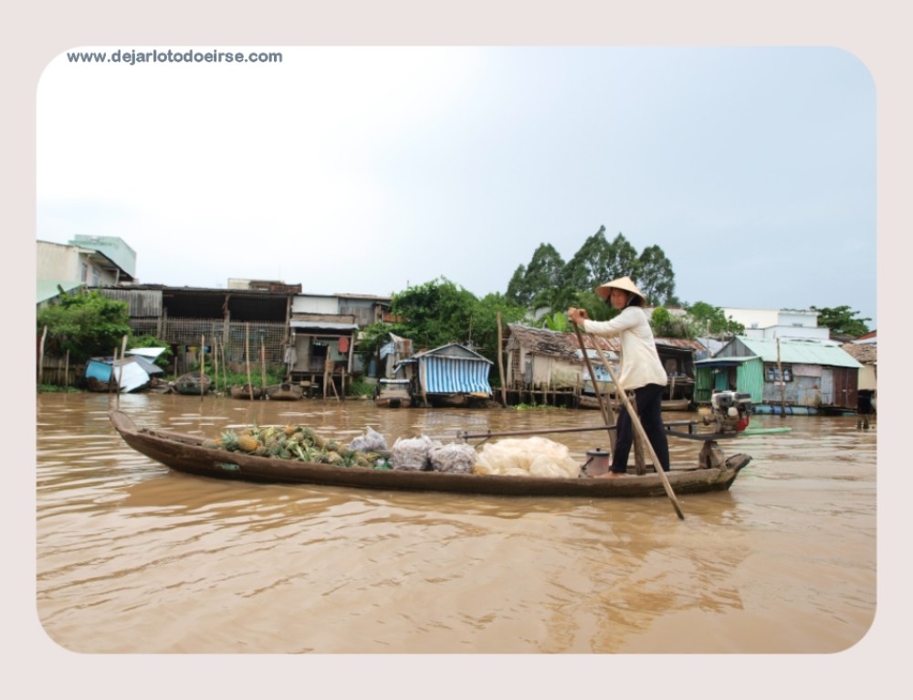 Llegar a Vietnam: Vuelta a la alfabetización