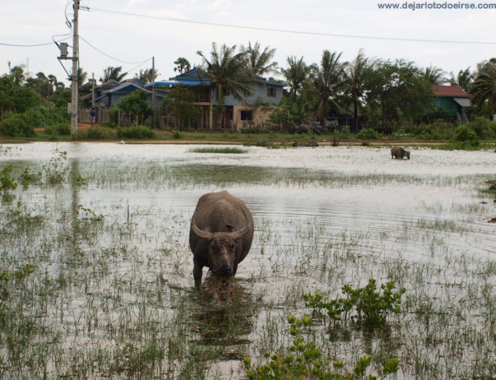 Unos días en Kampot y Kep, al sur de Camboya