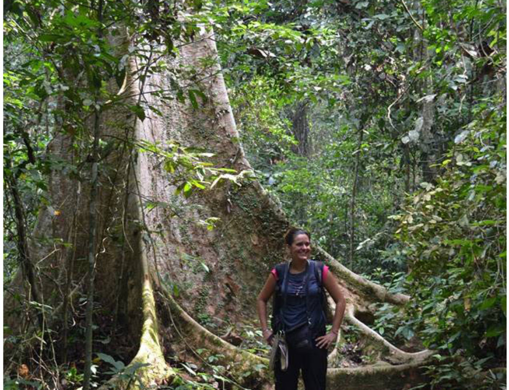 Dos días de trekking por libre en Taman Negara, la selva de Malasia