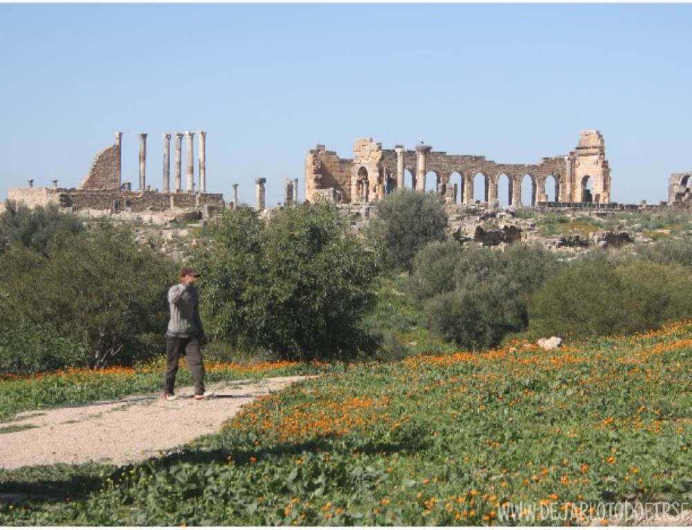 Alrededores de Fez: Meknes, Moulay Idriss, Volubilis y Moulay Yacoub