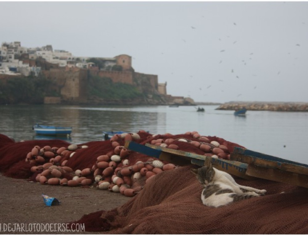 Notas de viaje: Llueve en Rabat