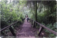 escaleras chicabal