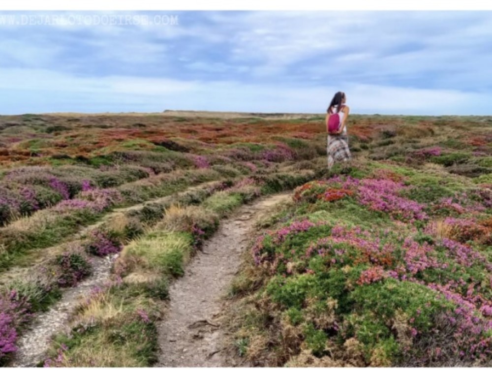 UNA PAJA EN EL CAMINO ¿NO TE DA MIEDO HACER EL CAMINO DE SANTIAGO SOLA?