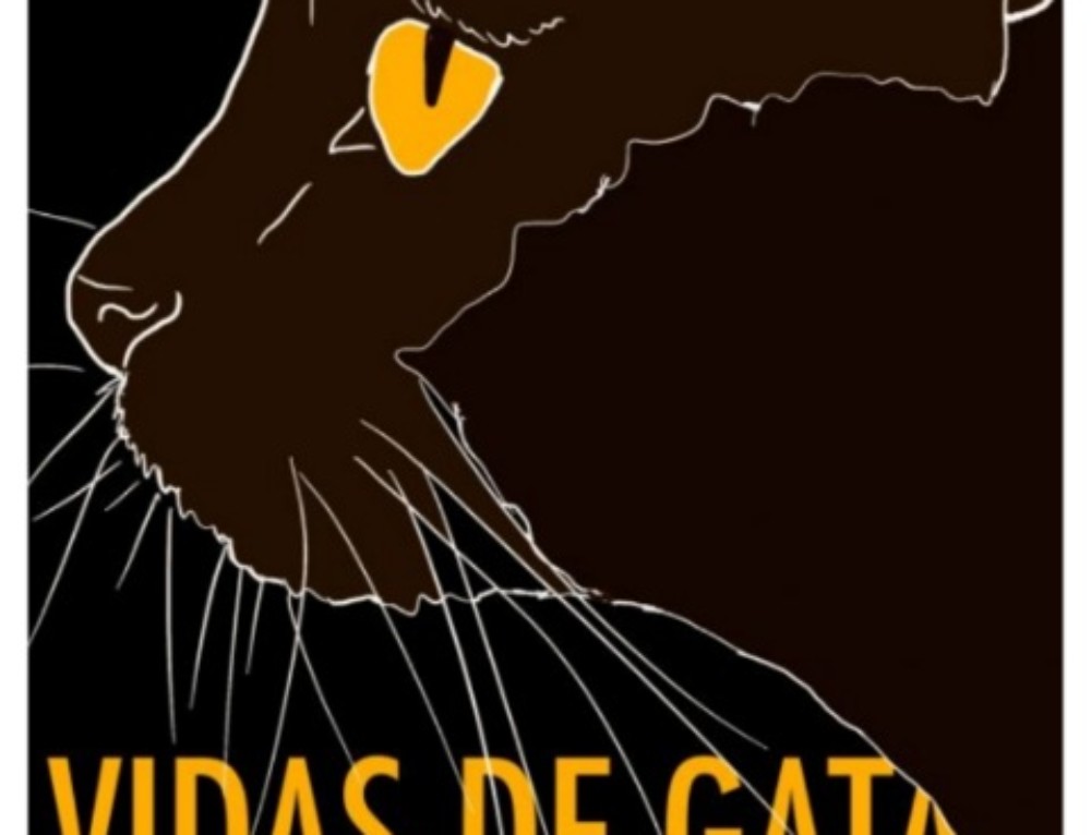 VIDAS DE GATA YA ESTÁ EN PREVENTA