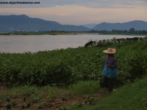Rozando Laos: Chiang Khong