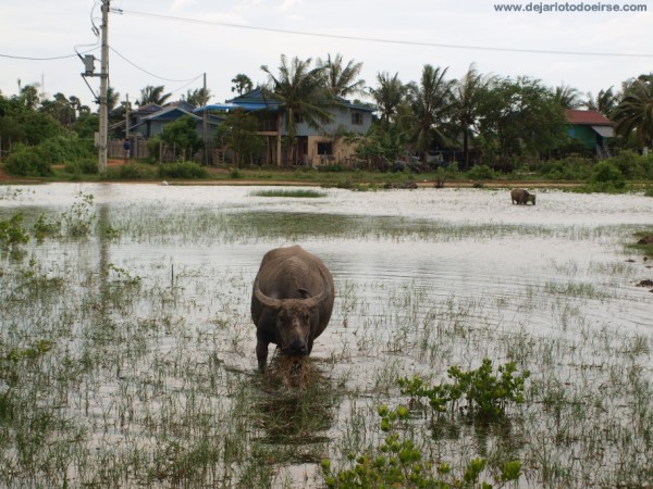 Unos días en Kampot y Kep, al sur de Camboya