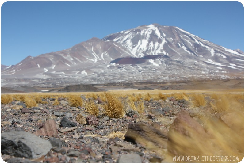 Por qué tienes que visitar Catamarca