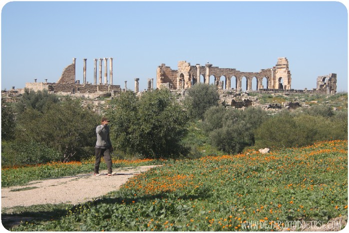 Alrededores de Fez: Meknes, Moulay Idriss, Volubilis y Moulay Yacoub