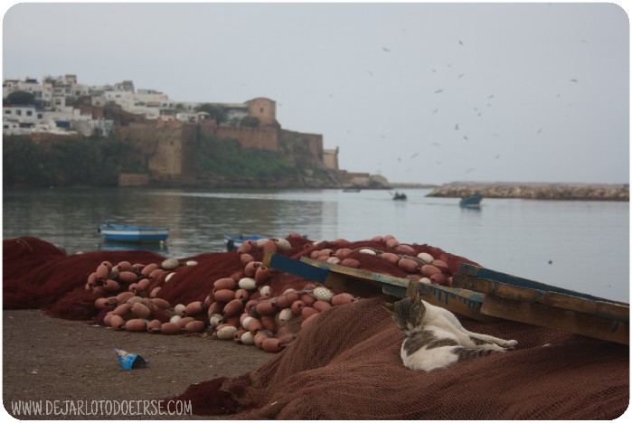 Notas de viaje: Llueve en Rabat