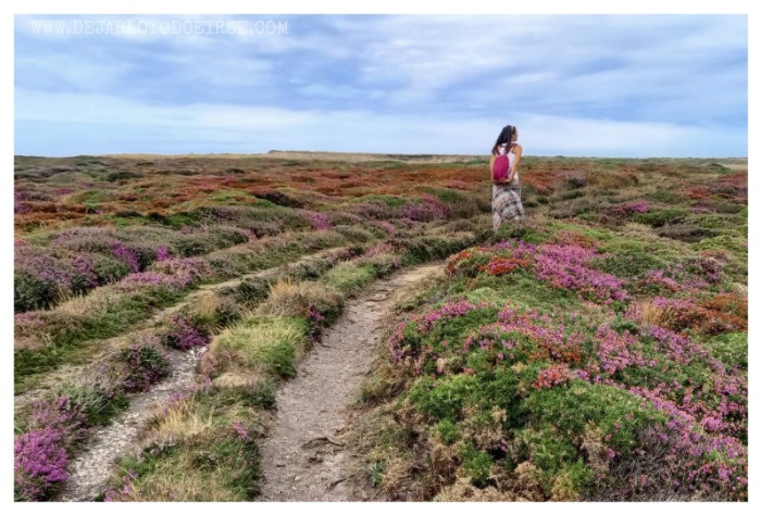 UNA PAJA EN EL CAMINO ¿NO TE DA MIEDO HACER EL CAMINO DE SANTIAGO SOLA?